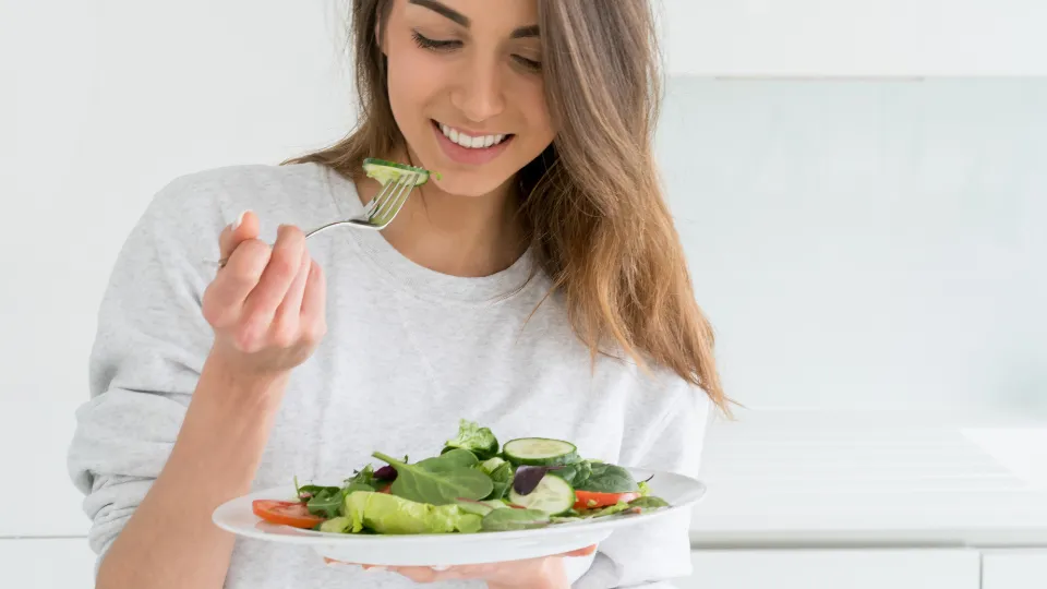 diet berbasis nabati nusantara sehat