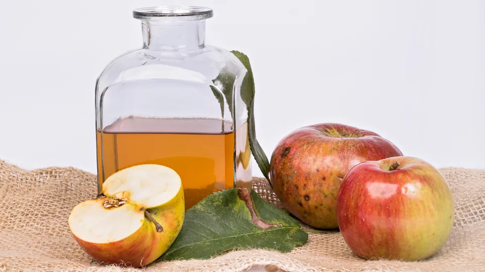 manfaat cuka apel untuk diet